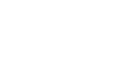 Dansk Standard