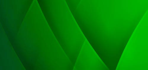 Ny udgave af ISO 14001 miljøledelse på vej – det skal du vide om ændringerne