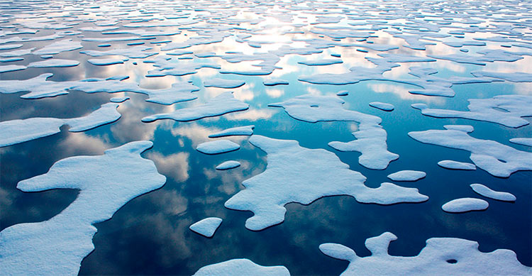 Ny standard skal gøre virksomheder klar til klimaforandringer