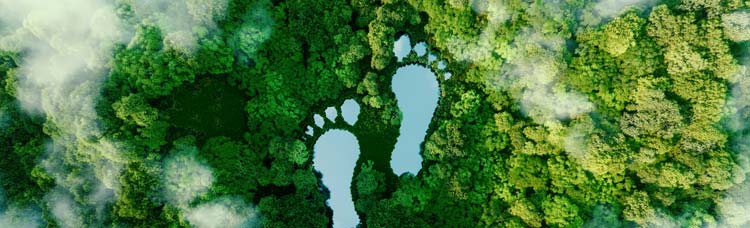 S-611 – Miljø og cirkulær økonomi S-611 – Miljø og cirkulær økonomi