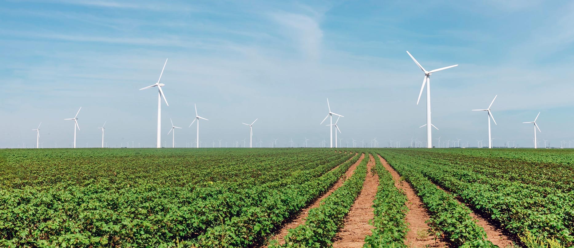 Udvalg for bæredygtighed og forretningsudvikling Udvalg for bæredygtighed og forretningsudvikling