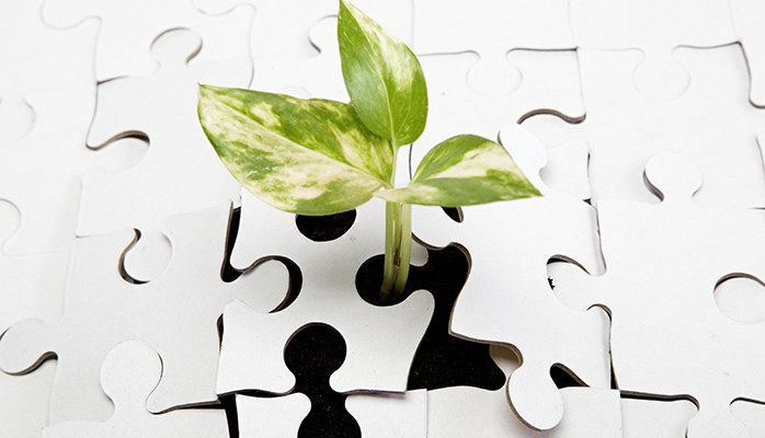 Danmark sætter internationale standarder for bæredygtighed Danmark sætter internationale standarder for bæredygtighed