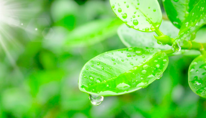 Ny ISO 14001 giver bedre miljøledelse Ny ISO 14001 giver bedre miljøledelse