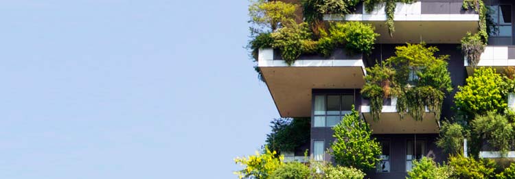 Bæredygtig udvikling af samfund