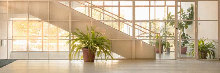 Se eller gense webinaret