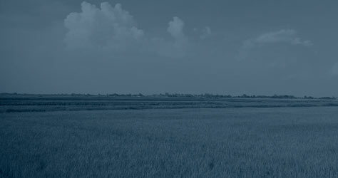 Miljøledelse - ISO 14001 Diplomkursus - 2 dage