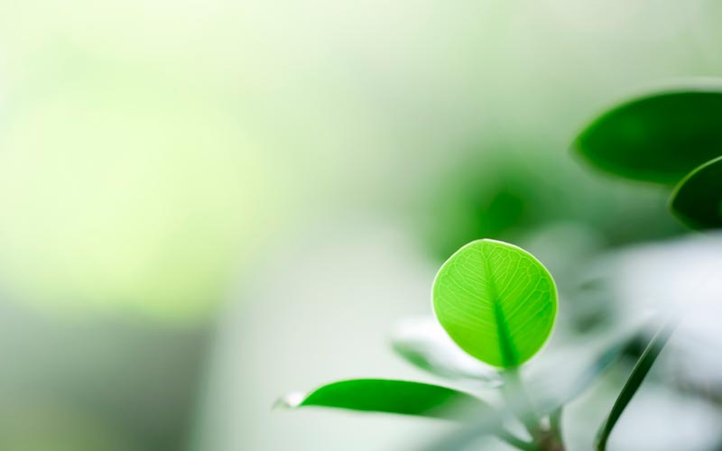 ISO 14001 styrker miljøindsatsen ISO 14001 styrker miljøindsatsen