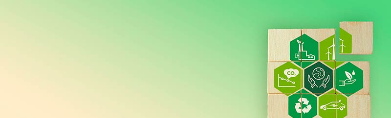 Bæredygtighed og grøn omstilling