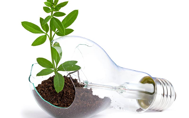 Milliarder at hente, hvis store danske virksomheder styrer deres energiforbrug bedre