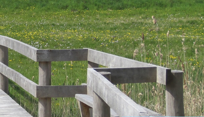 Udearealer skal være for alle
