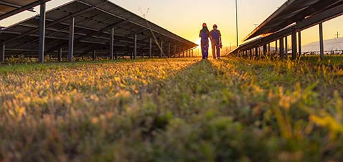 Webinar: Ny vejledning til håndtering af klimaforandringers påvirkning af arbejdsmiljøet