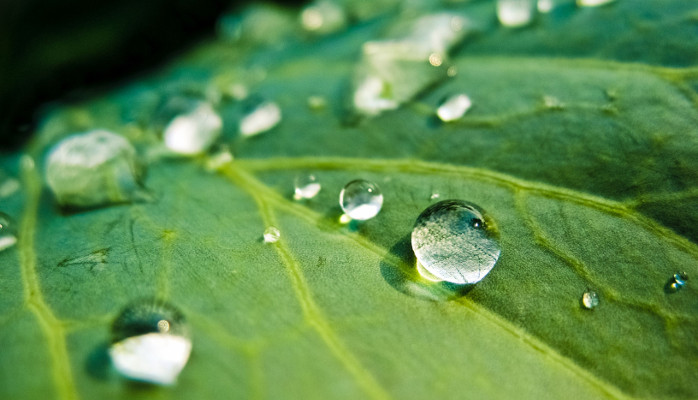 Ny rapport fra Miljøstyrelsen: Virksomheder med systematisk miljøledelse har færre lovovertrædelser