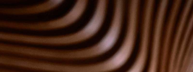 Ledelse og bestyrelse