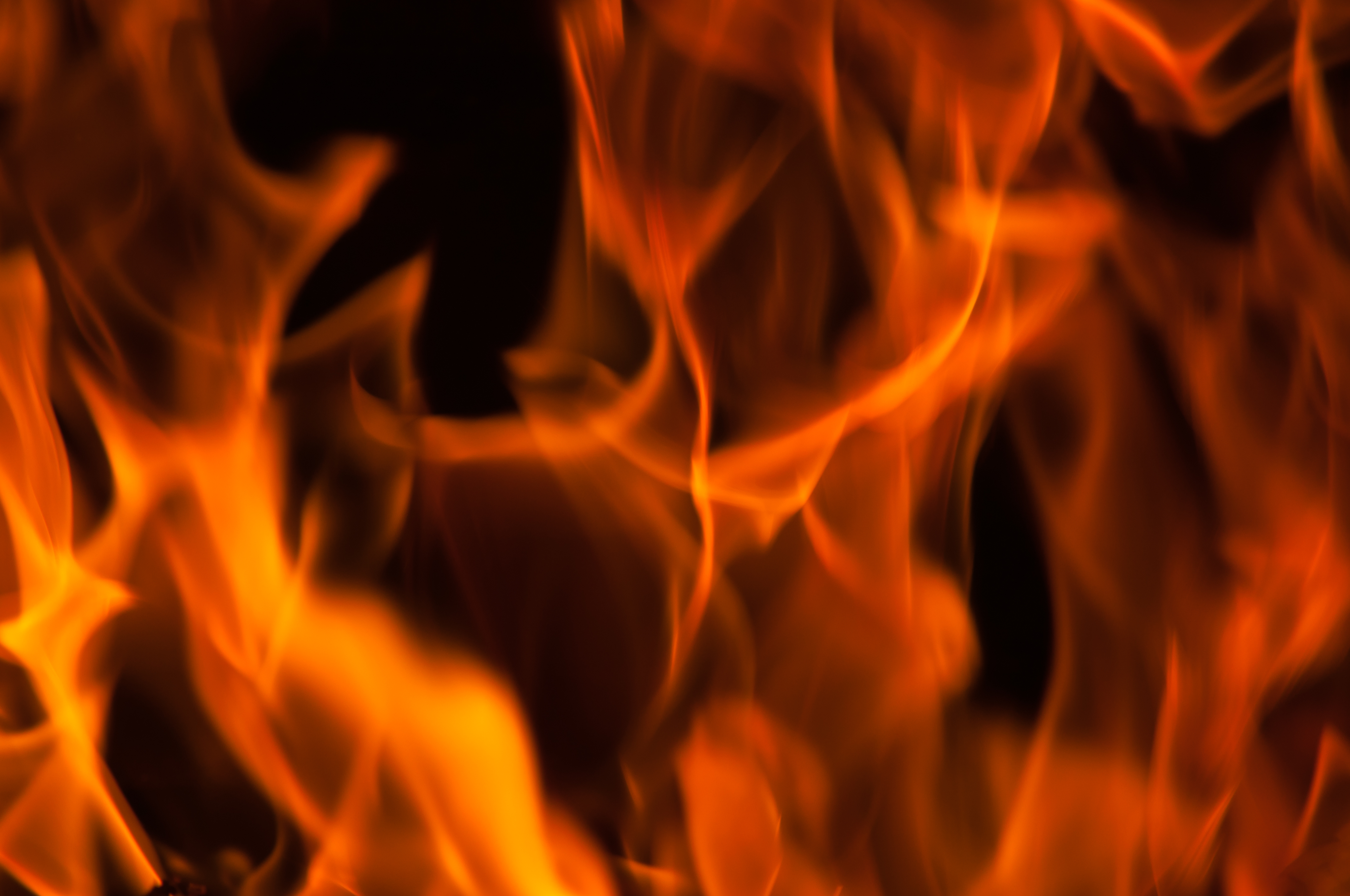 Invitation: Gratis informationsmøde om krav til biopejse