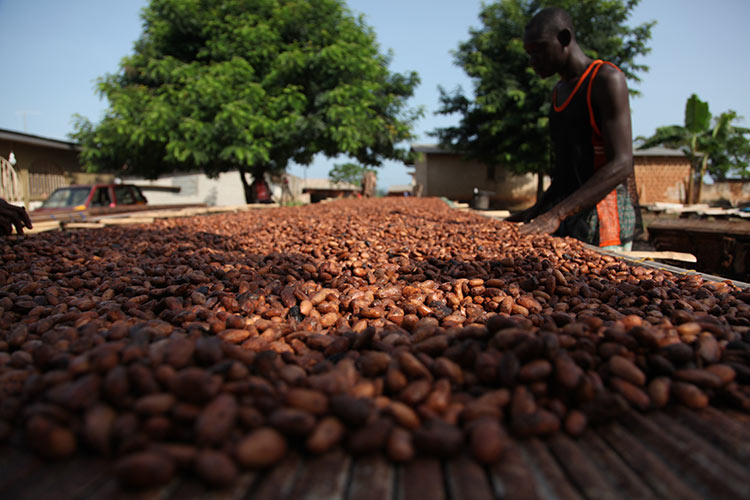 Nye standarder sikrer chokolade, der kan spises med god samvittighed