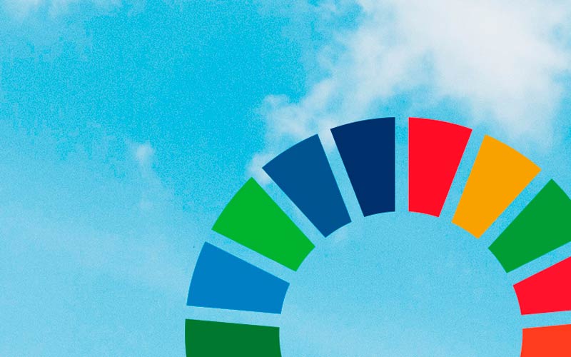 Danmark har stillet forslag om en international SDG-standard  Danmark har stillet forslag om en international SDG-standard