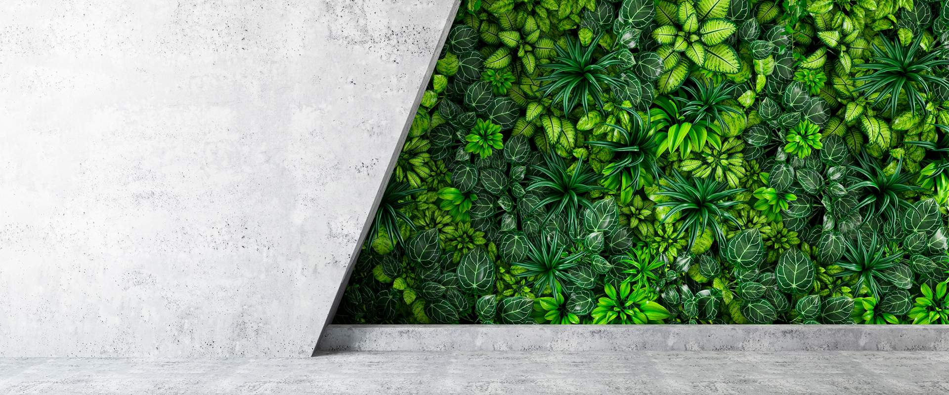 Introduktion til EU’s taksonomi Introduktion til EU’s taksonomi