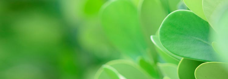 DS/EN ISO 14001:2015 - Miljøledelse DS/EN ISO 14001:2015 - Miljøledelse