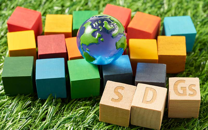 Ny, dansk arbejdsgruppe skal udvikle FN-standard