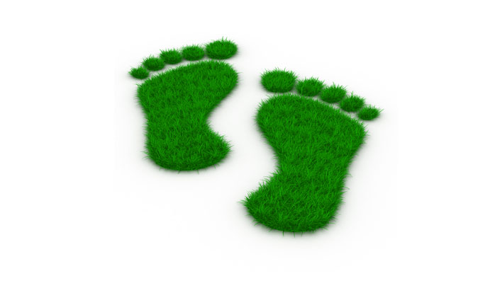 Travlt efterår med nye ledelsesstandarder Travlt efterår med nye ledelsesstandarder