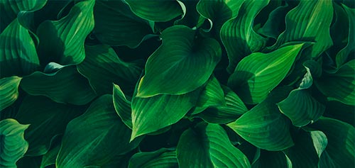 Cirkulært produktdesign og cirkulære forretningsmodeller i praksis