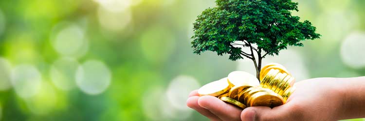 Bæredygtig finansiering