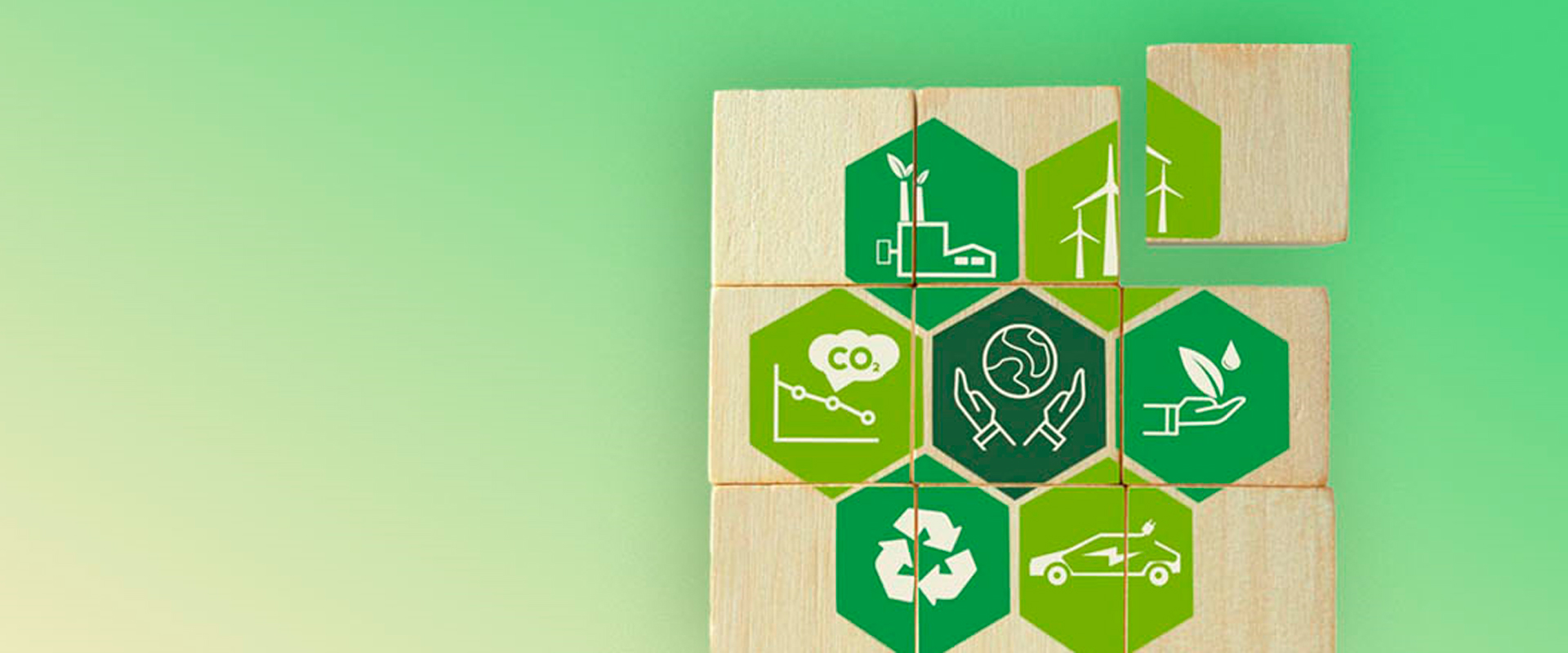 Sustainability Manager Sustainability Manager