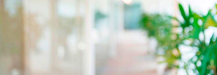 Sustainability Manager uddannelse - 10 dage