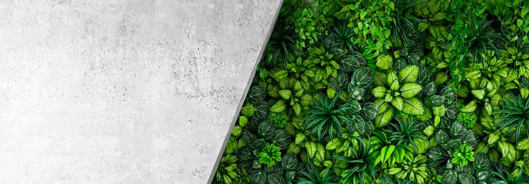 De resterende fire miljømål om EU-taksonomiens tekniske screeningskriterier er nu i høring