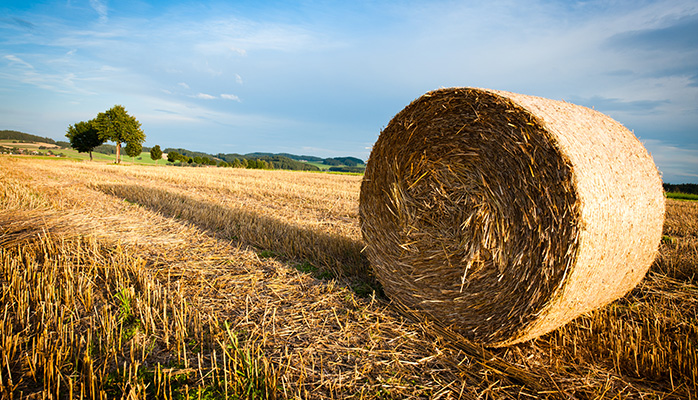 Sidste udkald for fødevaresekretariat på danske hænder