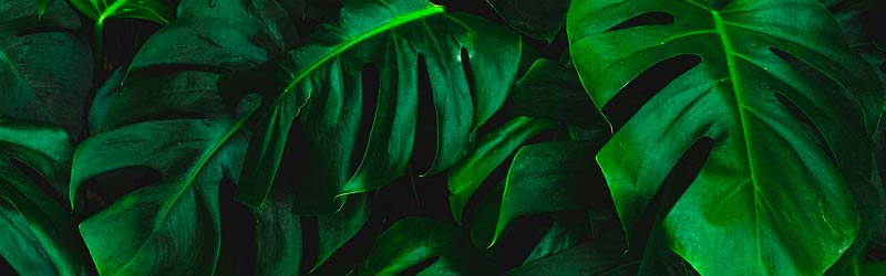 Kurser i miljøledelse - ISO 14001 Kurser i miljøledelse - ISO 14001