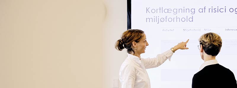 Implementering og udvikling af jeres ledelsessystem