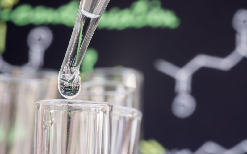 Biosolutions – nye veje til bæredygtige løsninger Biosolutions – nye veje til bæredygtige løsninger